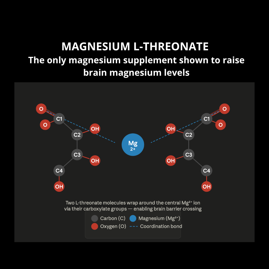 Infographic showing rhe malecular structore of Magnesium L-Threonate and how it's unique compotions enable brain barrier crossing of magnesium