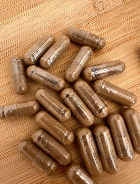 Himalayan Shilajit Capsules 500mg