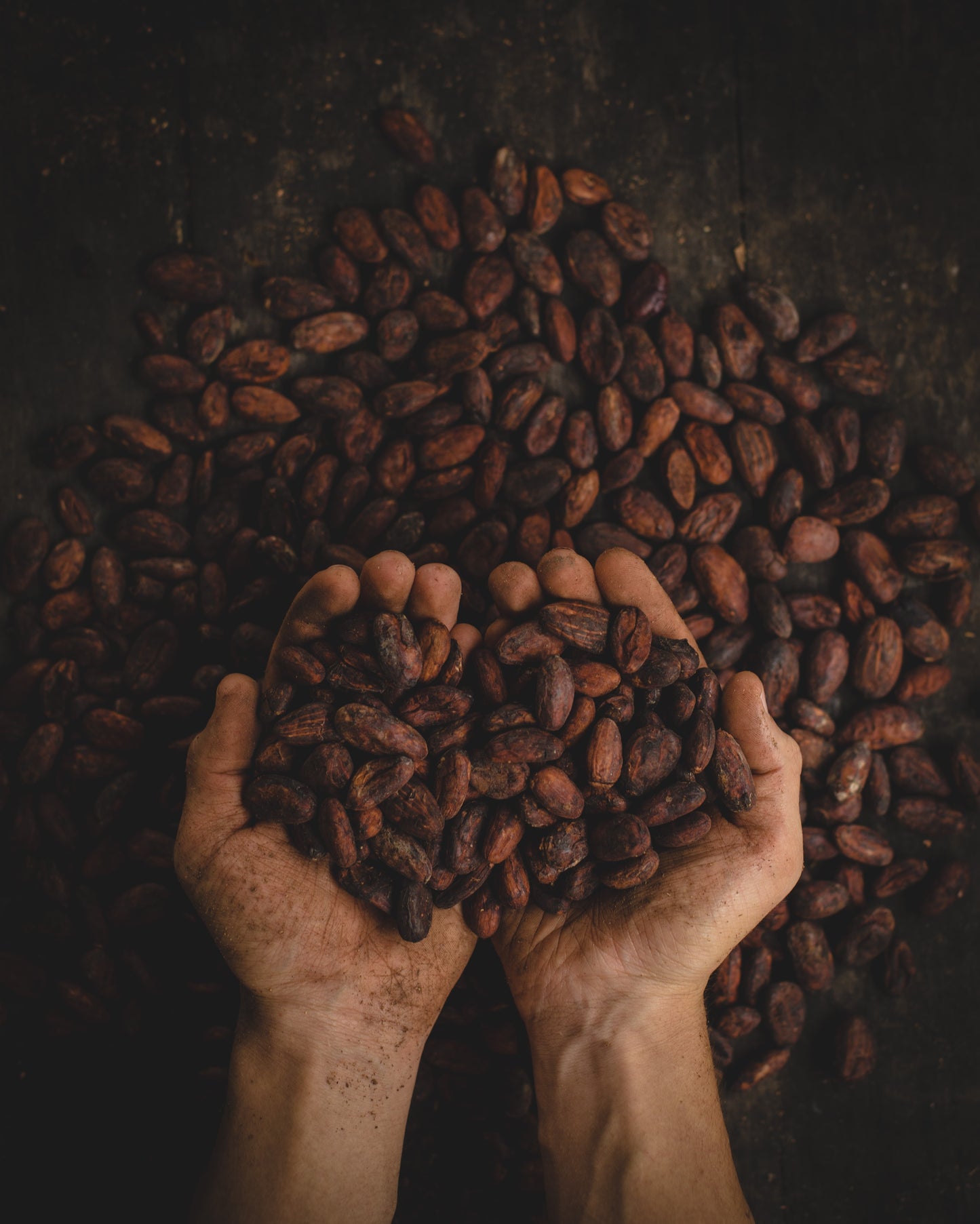 Organic Ceremonial Raw Cacao, Criollo